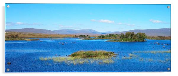  highland landscape      Acrylic by dale rys (LP)