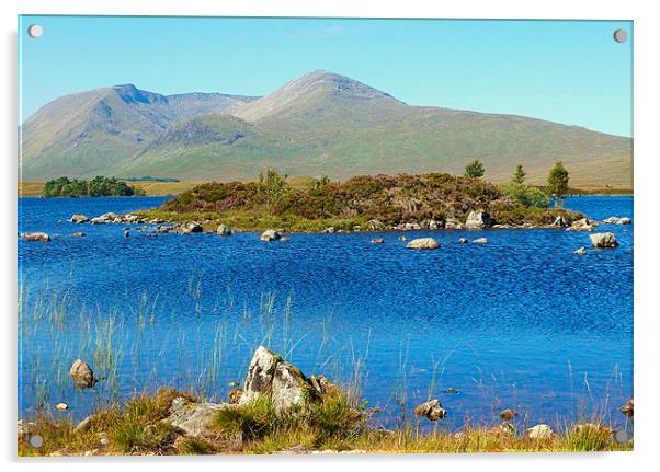  highland landscape       Acrylic by dale rys (LP)