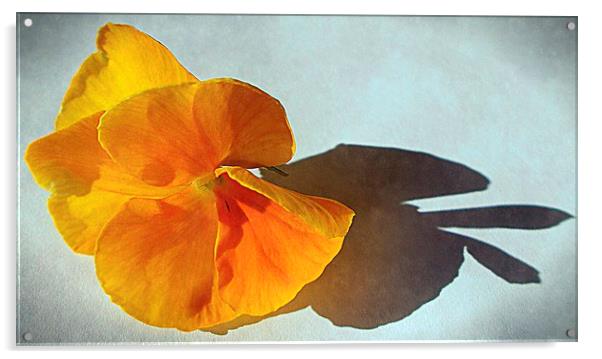  flora closeup   Acrylic by dale rys (LP)