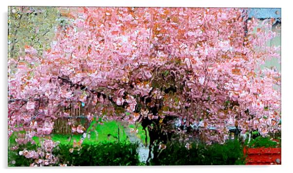  cherry blossom tree in storm Acrylic by dale rys (LP)