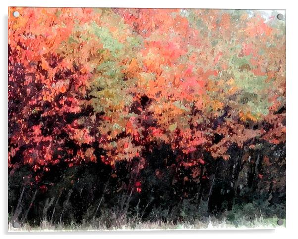  fall shot with alittle color.... Acrylic by dale rys (LP)