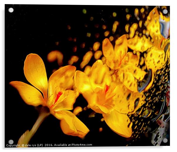 wet n wild flora  Acrylic by dale rys (LP)