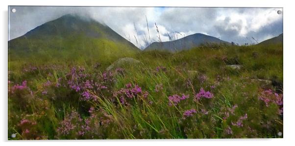 scottish purple heather Acrylic by dale rys (LP)