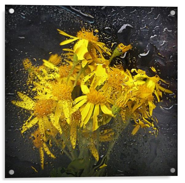 underwater flora Acrylic by dale rys (LP)
