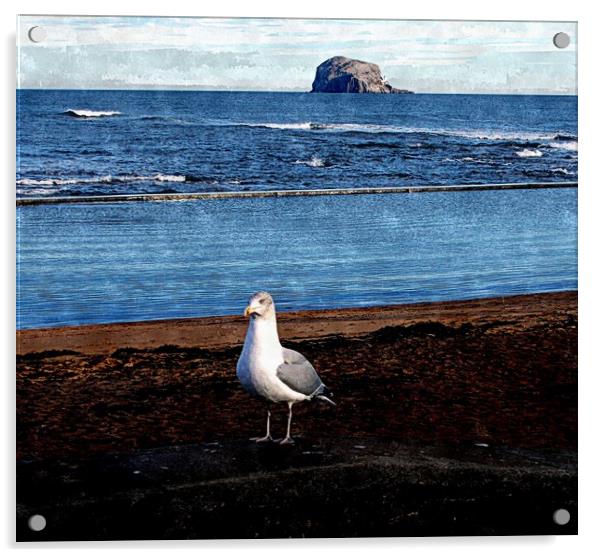 north berwick view Acrylic by dale rys (LP)