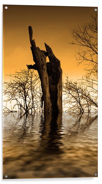 Tree Lake Acrylic by Andrew Bailey