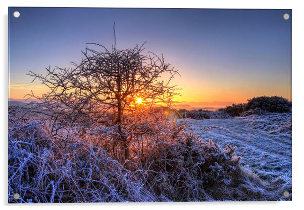 Frosty Morning Acrylic by Paul McKenzie