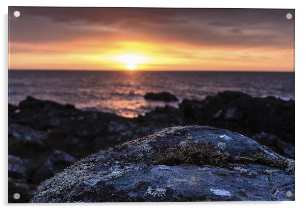 Aberdeen Coast Sunrise Acrylic by Michael Moverley