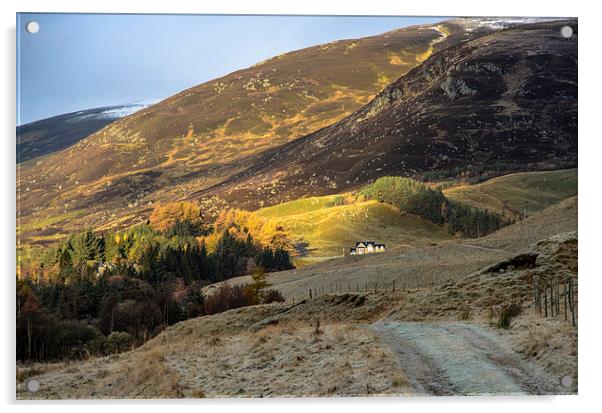 Autumn at Spittal of Glenshee Acrylic by Michael Moverley
