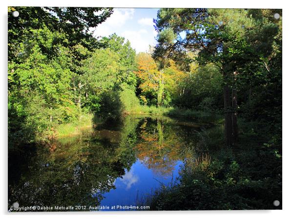 Signs of Autumn Acrylic by Debbie Metcalfe