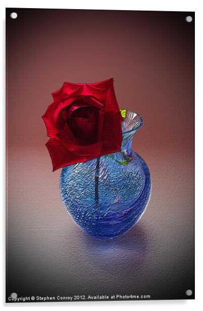 Still Life with Red Rose Acrylic by Stephen Conroy