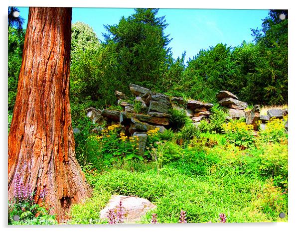 Landscape with Rocks and Trees Acrylic by Stephen Conroy