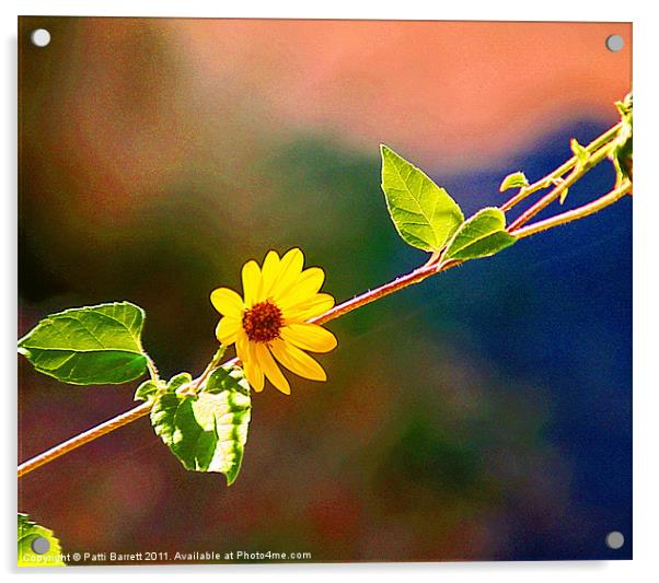 Daisy in yellow Acrylic by Patti Barrett