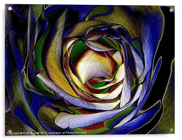 Rose in primary color abstract Acrylic by Patti Barrett