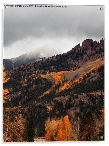  Fall Gold and Snow in Colorado Acrylic by Patti Barrett