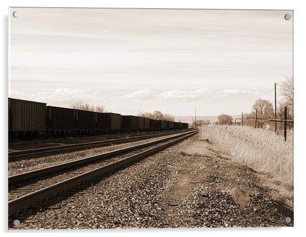 Train lines Acrylic by Patti Barrett