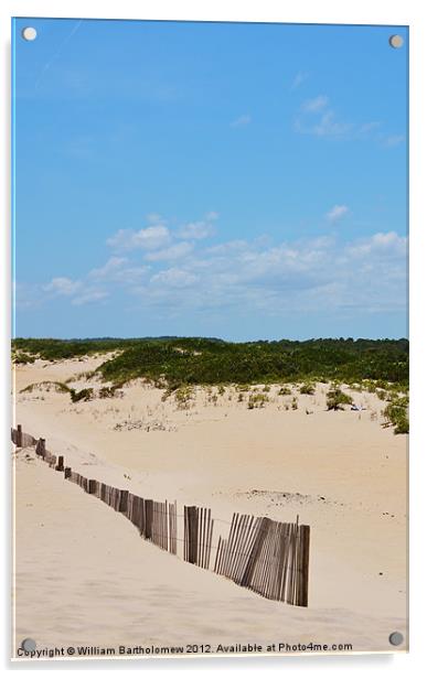 Dune Fence Acrylic by Beach Bum Pics