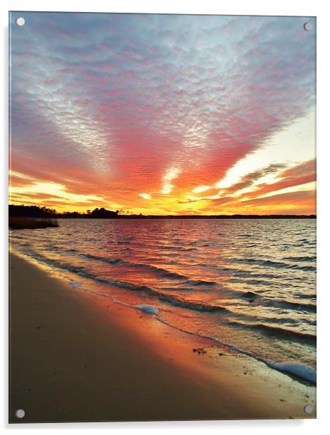 Sunset Streaks Acrylic by Beach Bum Pics