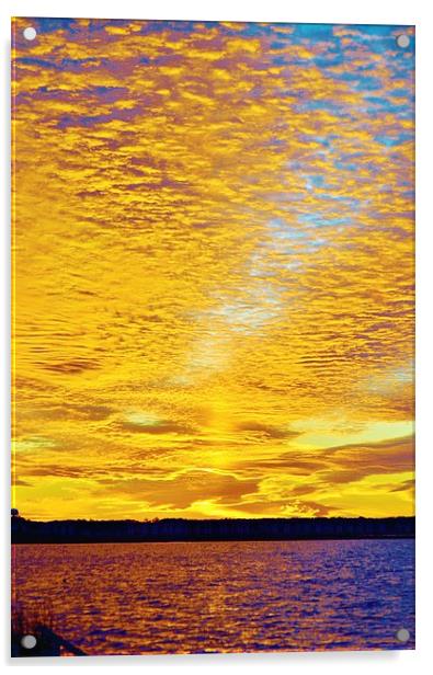 Golden Sunset Acrylic by Beach Bum Pics