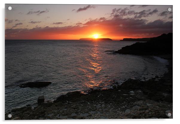 Puffin Island Sunrise Acrylic by Jed Pearson