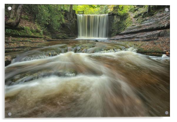 In full flow Acrylic by Jed Pearson