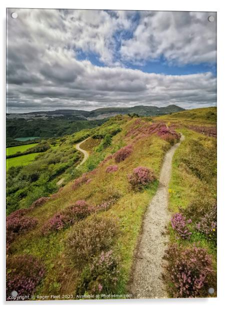 Sky Ridge path Acrylic by Roger Fleet