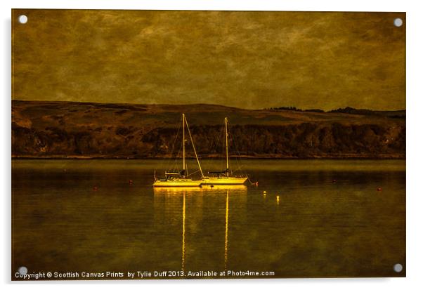 Two Yachts by Moonlight in Fairlie Bay Acrylic by Tylie Duff Photo Art