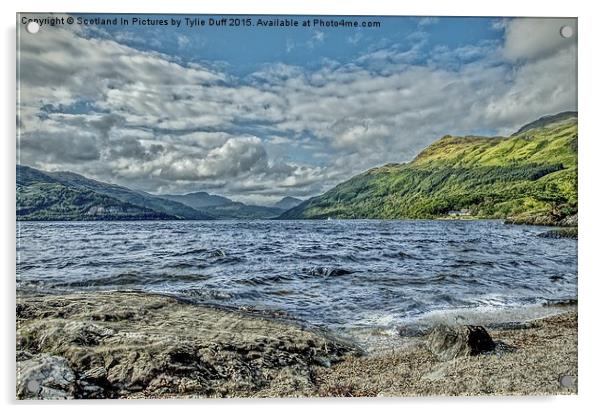 Loch Lomond Vista Acrylic by Tylie Duff Photo Art