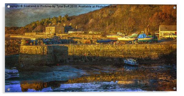 Dunure Harbour Acrylic by Tylie Duff Photo Art