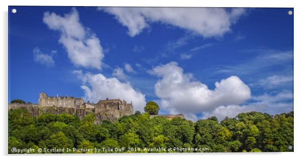 Stirling Castle Panorama Acrylic by Tylie Duff Photo Art