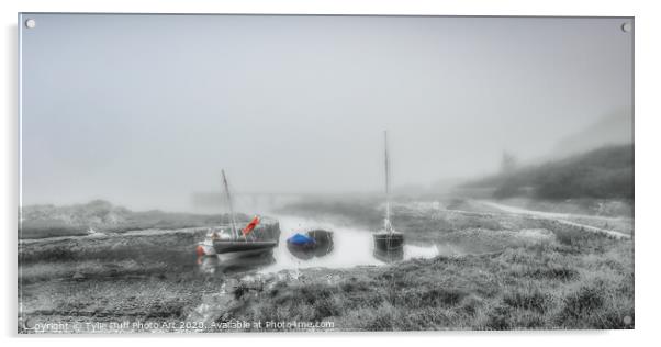 Sea Mist At Portencross (spot colour) Acrylic by Tylie Duff Photo Art