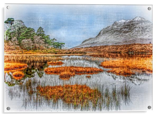 Loch In The Scottish Highlands Acrylic by Tylie Duff Photo Art
