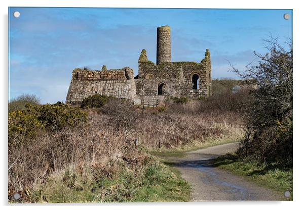 South Wheal Frances, Great Flat Lode, Cornwall Acrylic by Brian Pierce