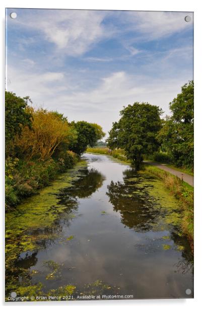 The Bude Canal Acrylic by Brian Pierce