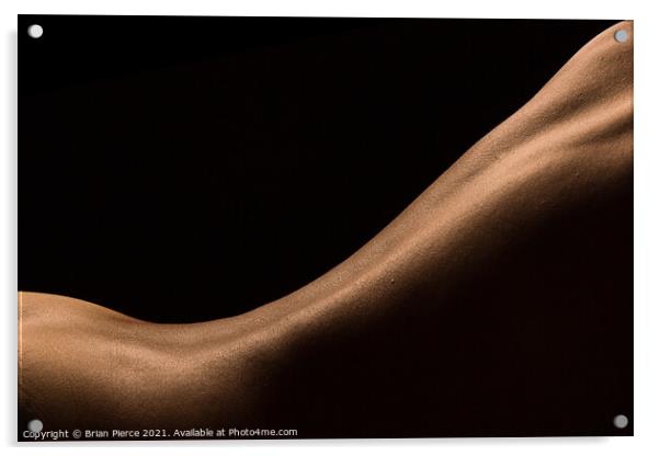 Art-Nude Bodyscape Acrylic by Brian Pierce