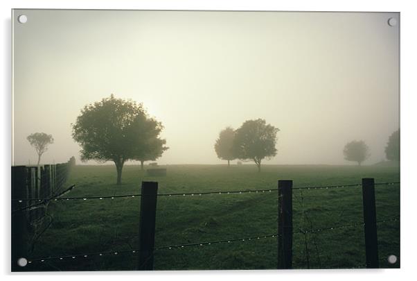 Misty Morning Acrylic by Bruce Stanfield