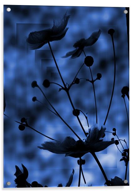 blue shadow Acrylic by Sandra Beikirch