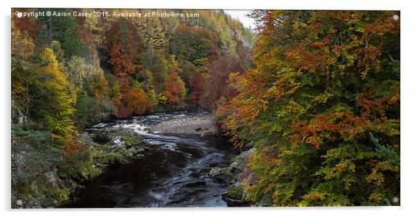 Autumn in the gorge Acrylic by Aaron Casey