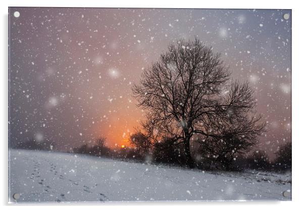 Winter Wonderland Acrylic by Graham Custance