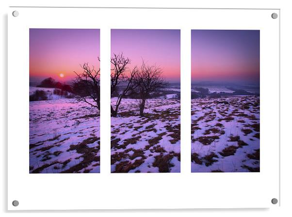 Winter Tripych Acrylic by Graham Custance