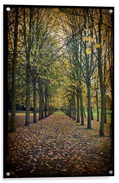Autumn Leaves Acrylic by Graham Custance
