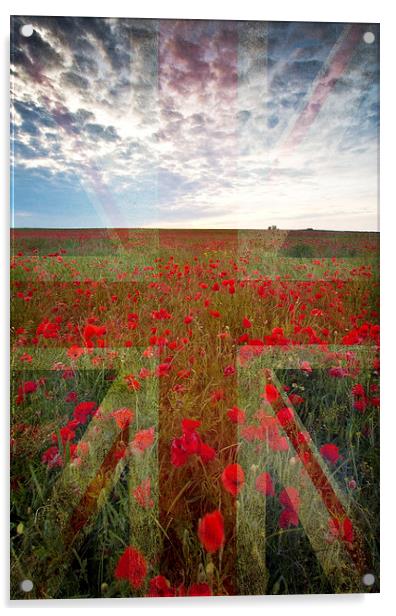 Poppy Field Acrylic by Graham Custance