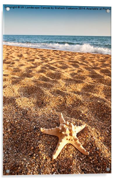 Starfish on the Beach Acrylic by Graham Custance