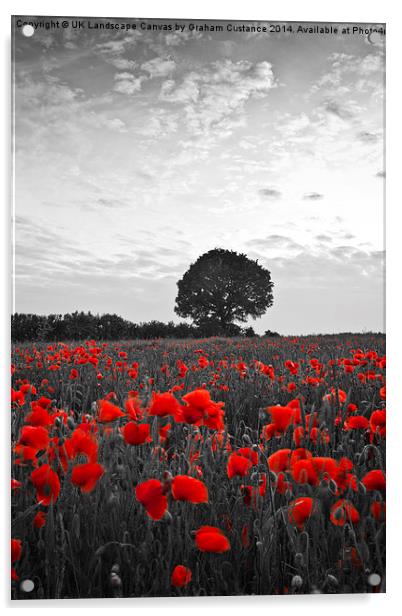  Poppy Field Acrylic by Graham Custance