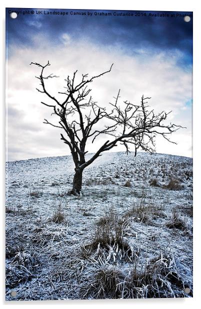 Lone Tree in Winter  Acrylic by Graham Custance