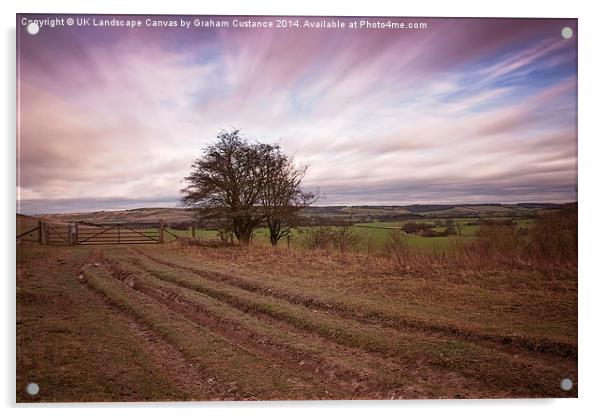 The Chilterns  Acrylic by Graham Custance