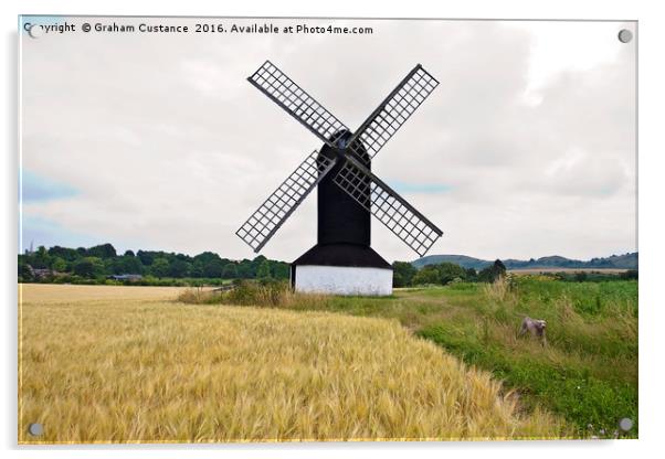 Dog and Windmill Acrylic by Graham Custance