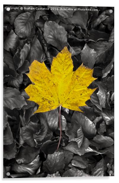 Yellow Maple Leaf Acrylic by Graham Custance