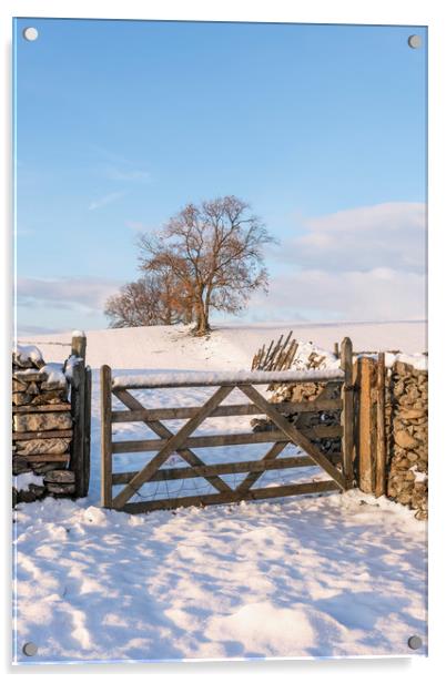 Yorkshire Dales in Winter Acrylic by Graham Custance