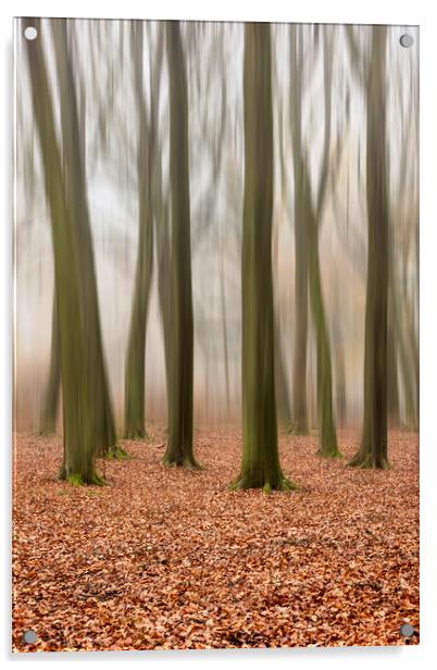 Autumn Trees Acrylic by Graham Custance